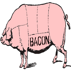 pig meat bacon