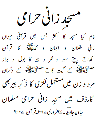 zani harami poem by javed javed